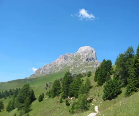 Piccolo Claudia